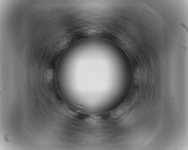 X0000096200278200802011306