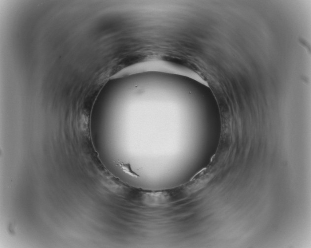 X0000096200281200802011306