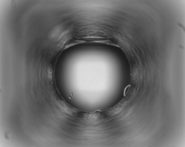 X0000096200282200802011306