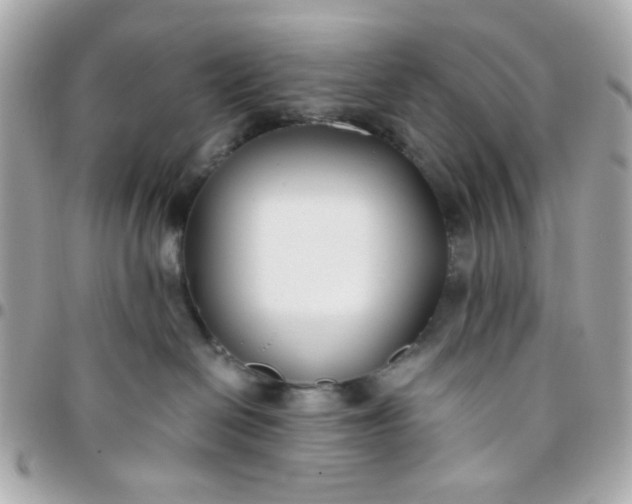 X0000096200286200802011306