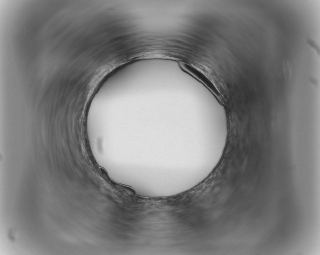 X0000096200289200802011306