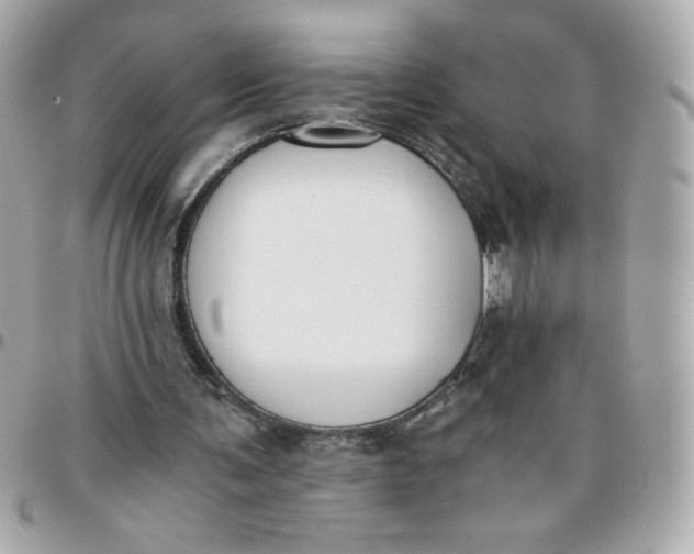 X0000096200291200802011306