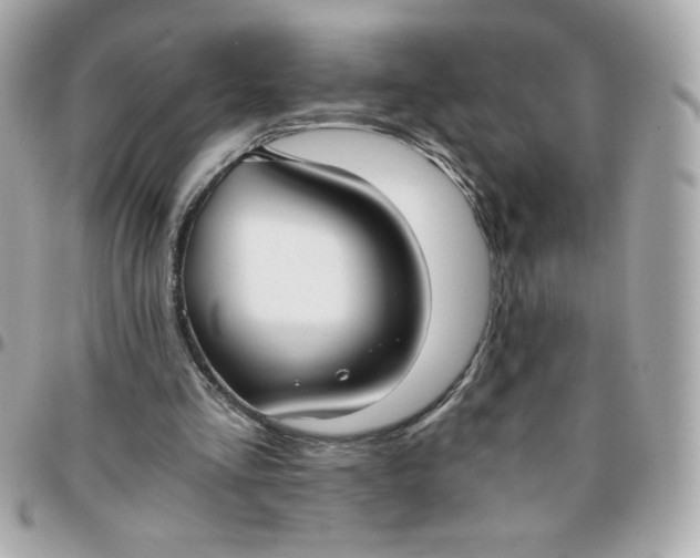 X0000096200293200802011306