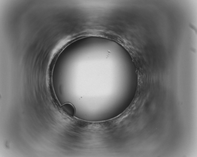 X0000096200294200802011306