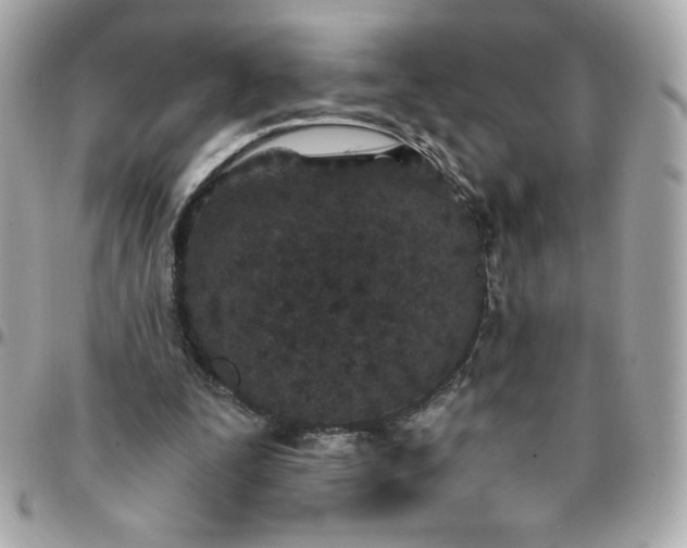 X0000096200295200802011306