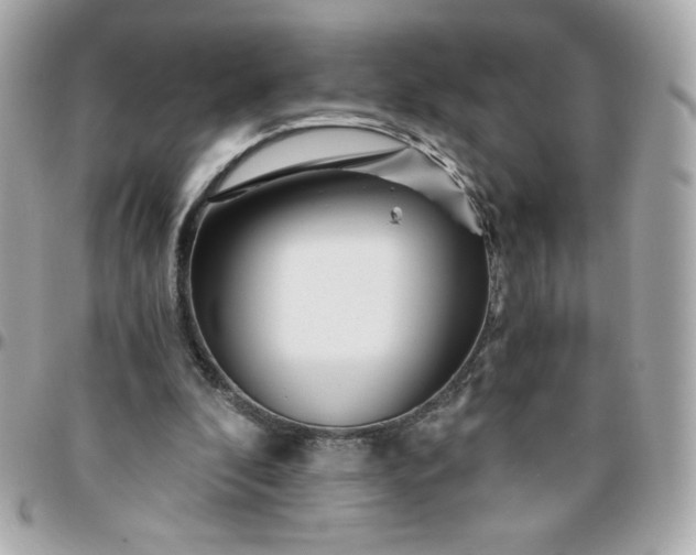 X0000096200296200802011306