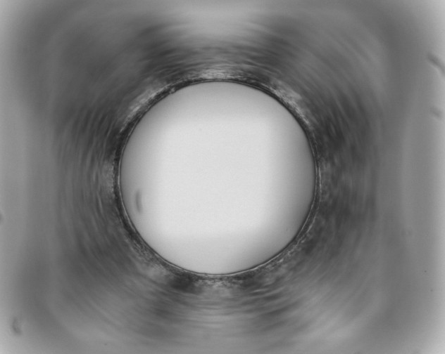 X0000096200297200802011306