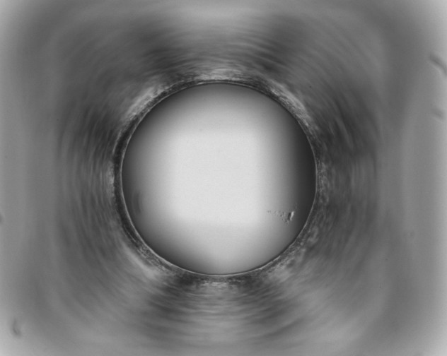 X0000096200298200802011306