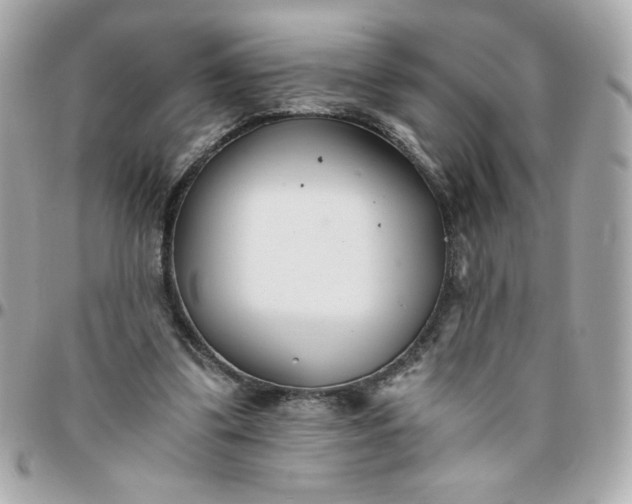 X0000096200299200802011306