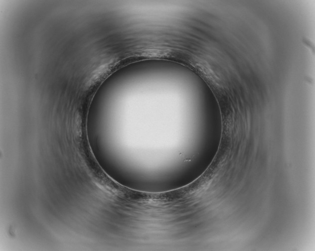 X0000096200303200802011306