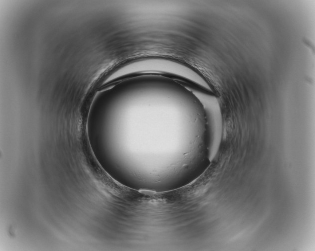 X0000096200304200802011306