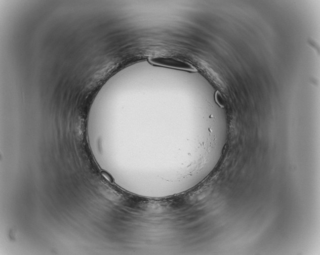 X0000096200305200802011306