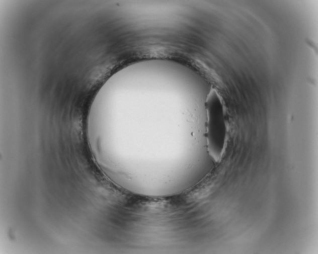 X0000096200306200802011306