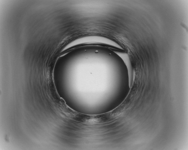 X0000096200312200802011305