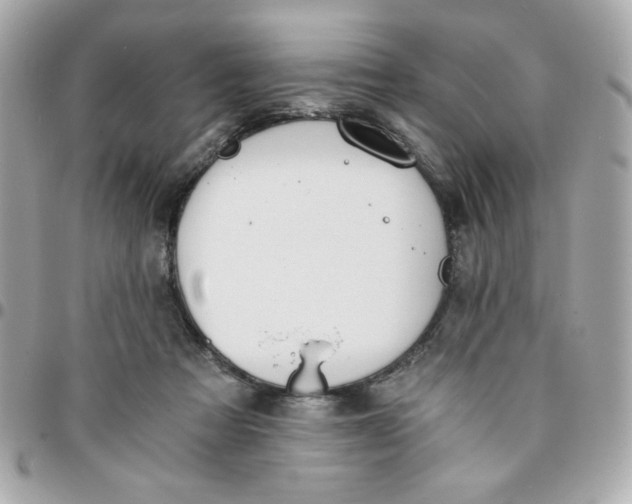 X0000096200313200802011305