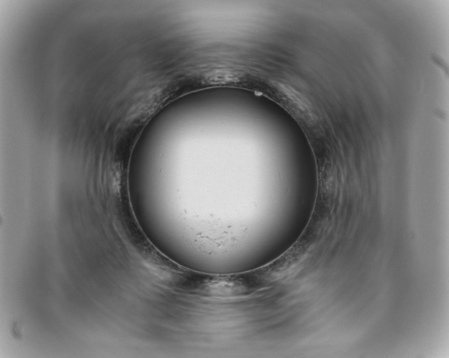 X0000096200315200802011305