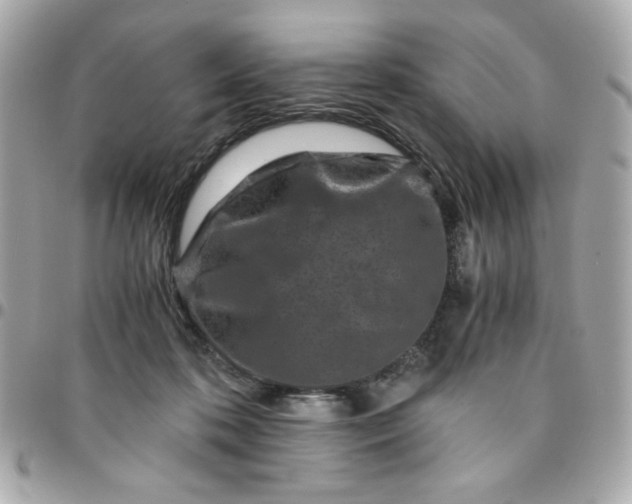 X0000096200316200802011305