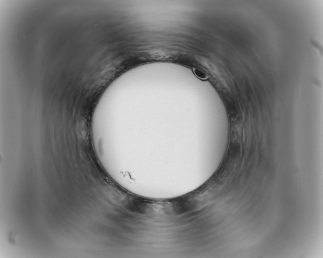 X0000096200317200802011305