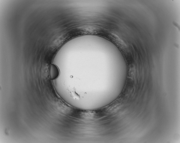 X0000096200318200802011305