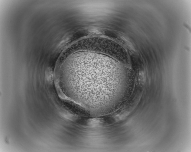 X0000096200320200802011305