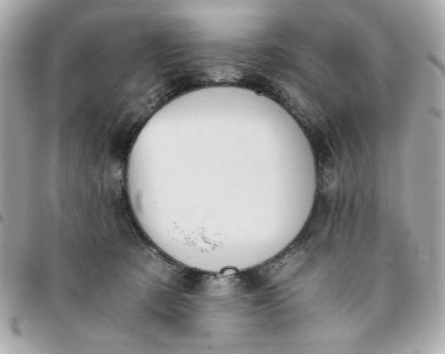 X0000096200321200802011305