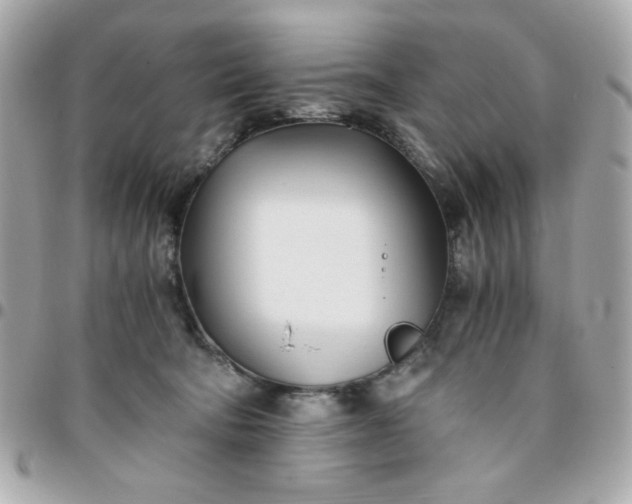 X0000096200322200802011305