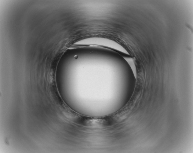 X0000096200323200802011305