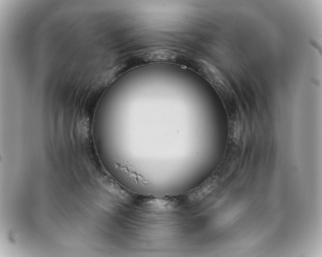 X0000096200326200802011305