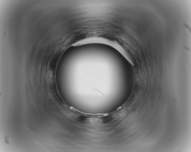 X0000096200327200802011305