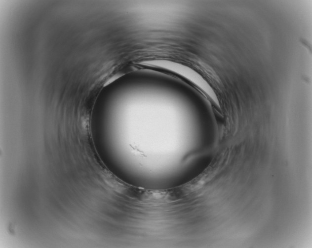 X0000096200329200802011305