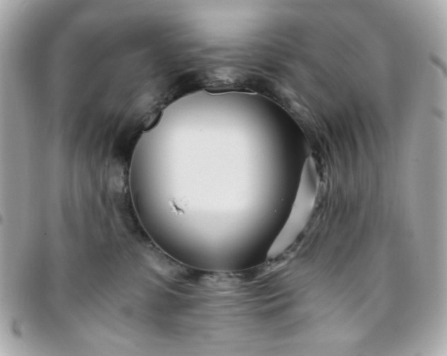 X0000096200331200802011305