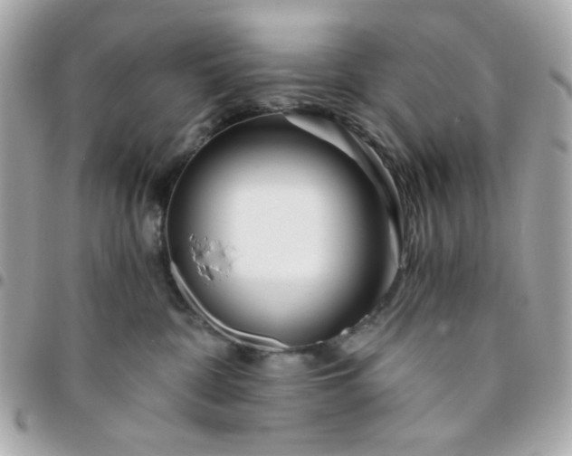 X0000096200332200802011305