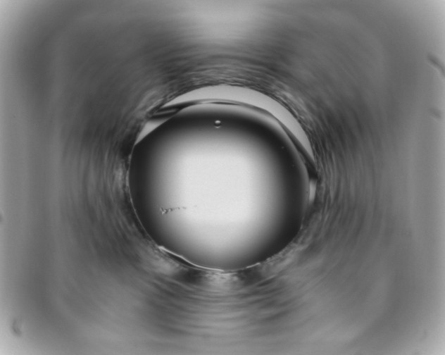 X0000096200333200802011305