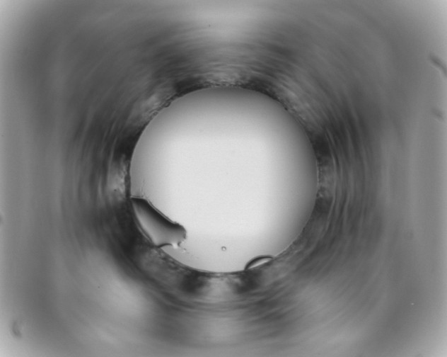 X0000096200334200802011305