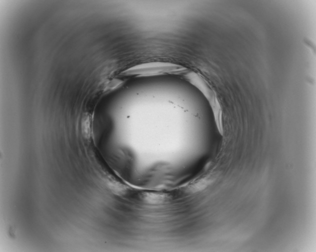 X0000096200336200802011305