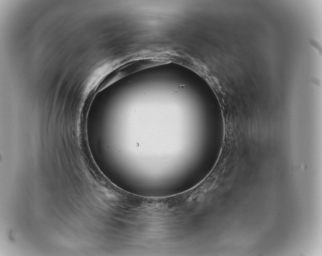 X0000096200340200802011304