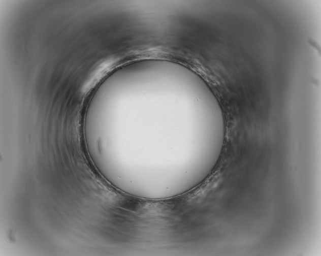 X0000096200341200802011304