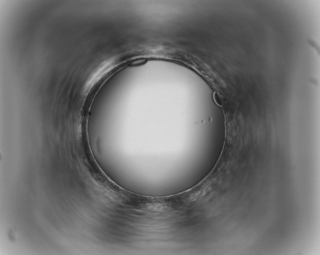 X0000096200344200802011304