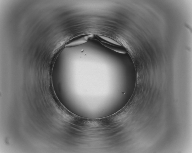 X0000096200349200802011304