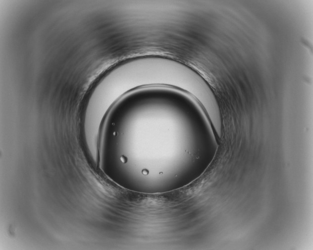 X0000096200350200802011304