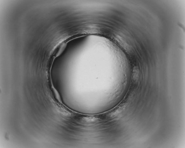 X0000096200351200802011304