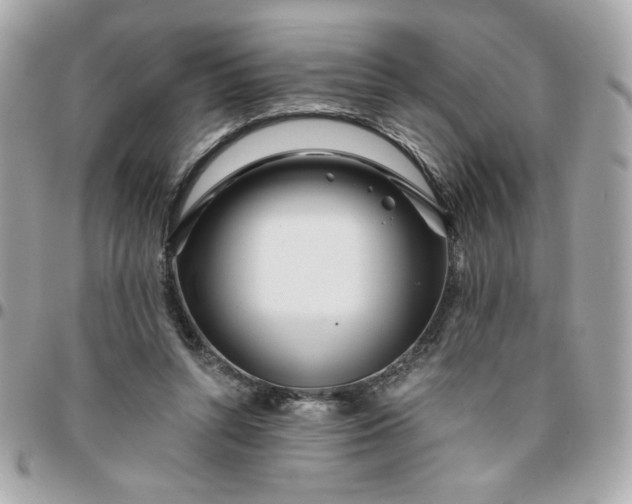 X0000096200352200802011304