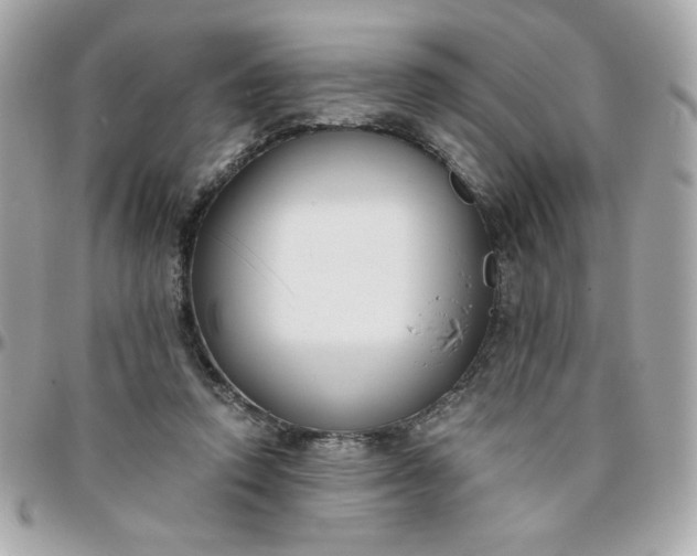 X0000096200354200802011305