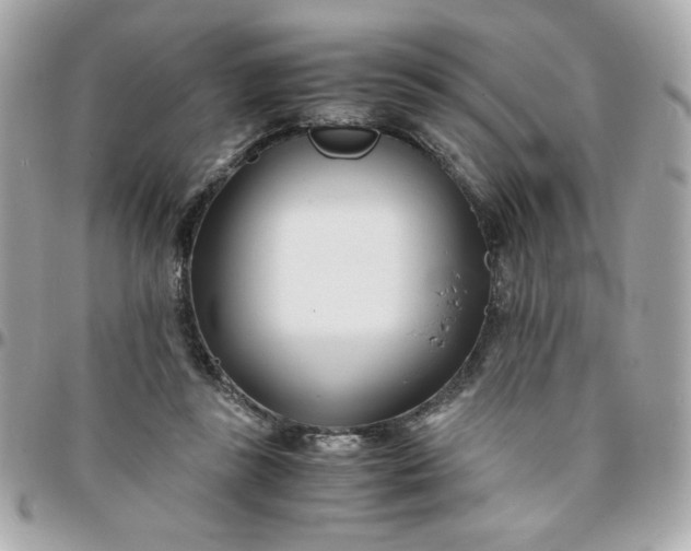 X0000096200355200802011305