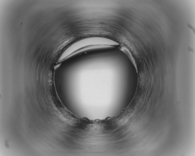 X0000096200356200802011305