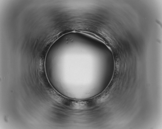 X0000096200359200802011305