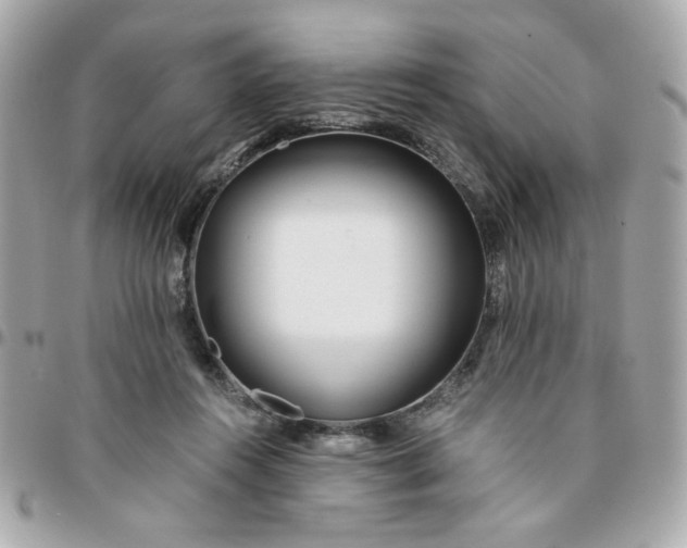 X0000096200360200802011305