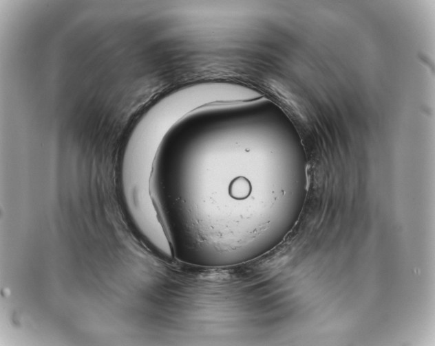 X0000096200362200802011305