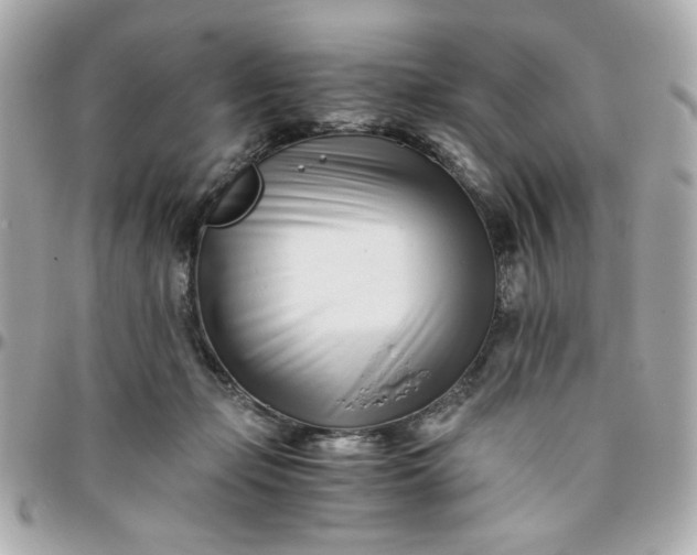 X0000096200365200802011305