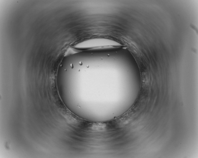 X0000096200369200802011305